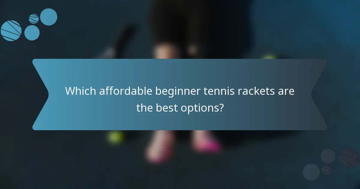 Which affordable beginner tennis rackets are the best options?